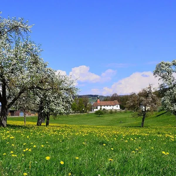 Curso de idiomas de primavera en Zúrich