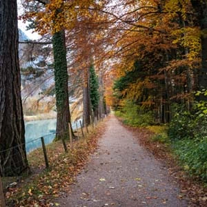 Autumn vacations language course in Zurich